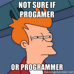Not sure if progamer or programmer.