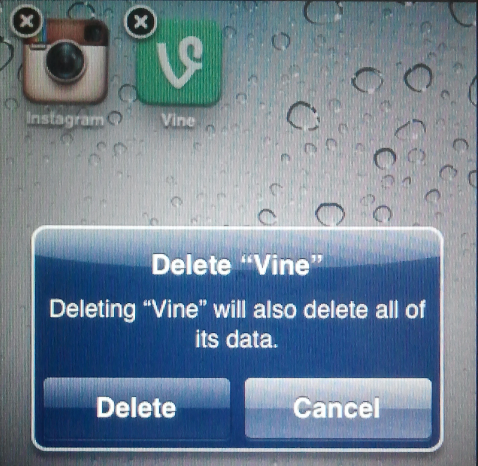 Vine vs. Instagram 3 Differences, What They Mean to You